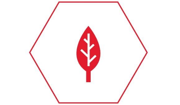 Sechseck mit rotem Rand, im inneren des Sechsecks ein Blatt in rot als Symbol für Umwelt